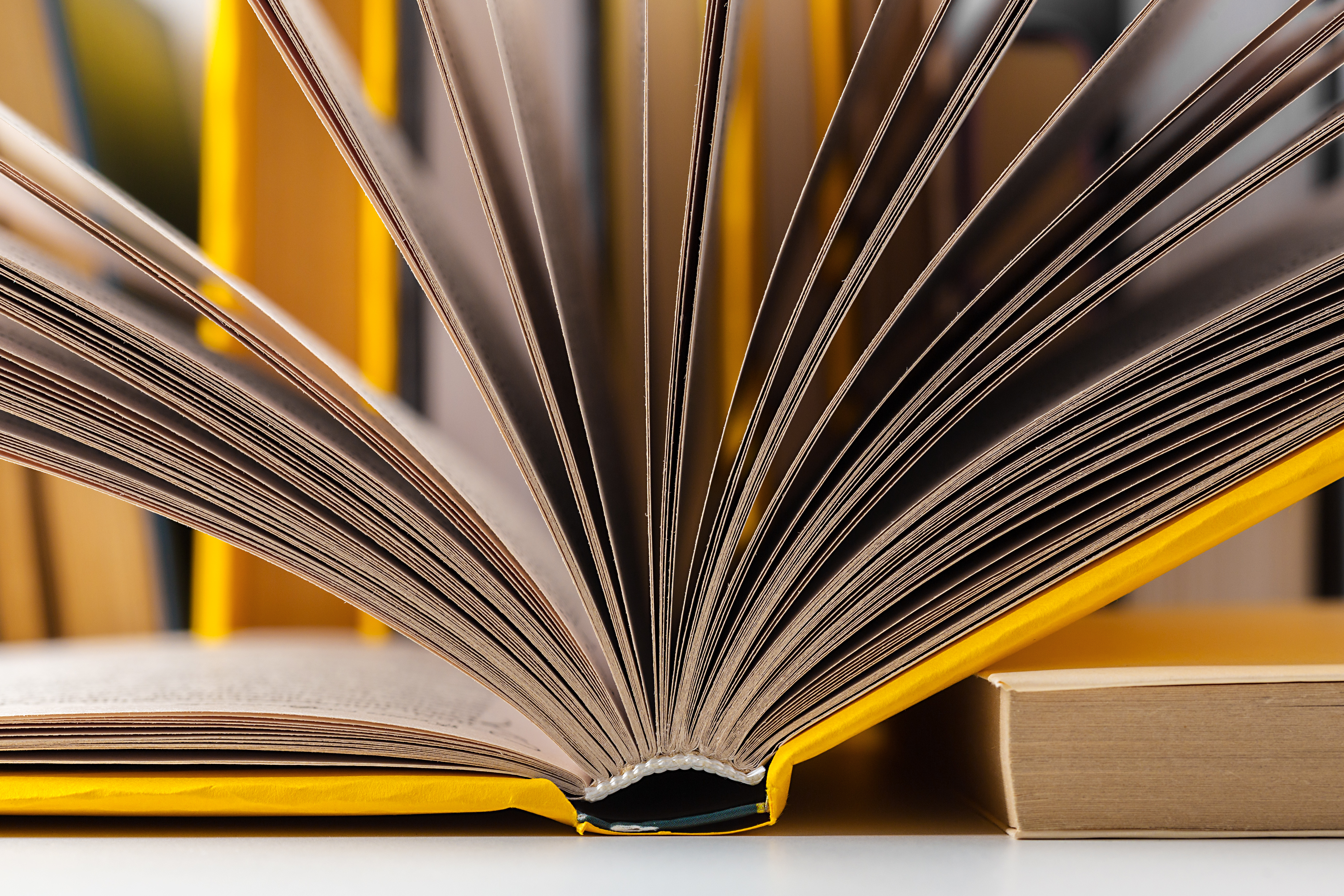 Como um livro pode transformar sua autoridade no mercado