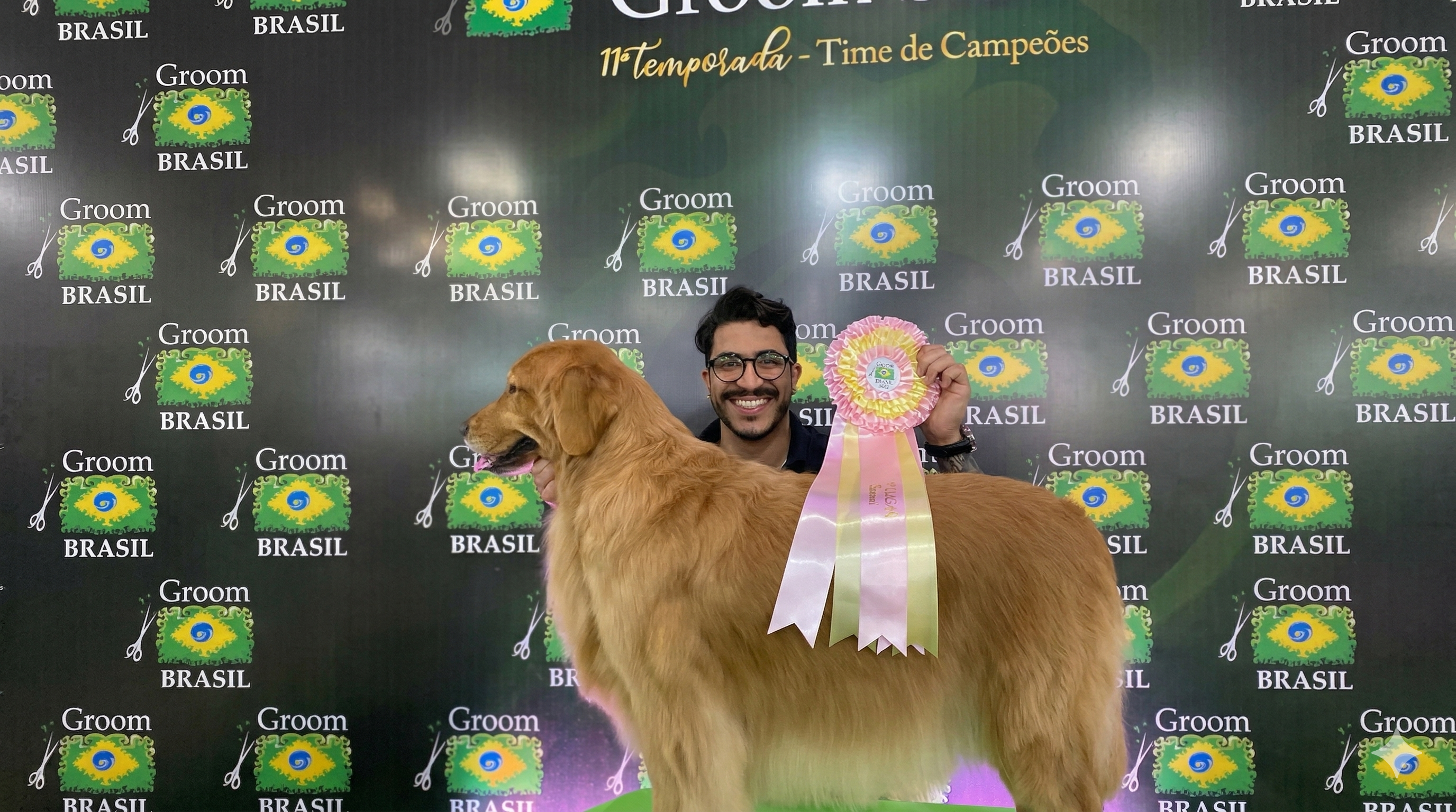 Desconhecimento do setor de animais de estimação inviabiliza negócios nos Estados Unidos